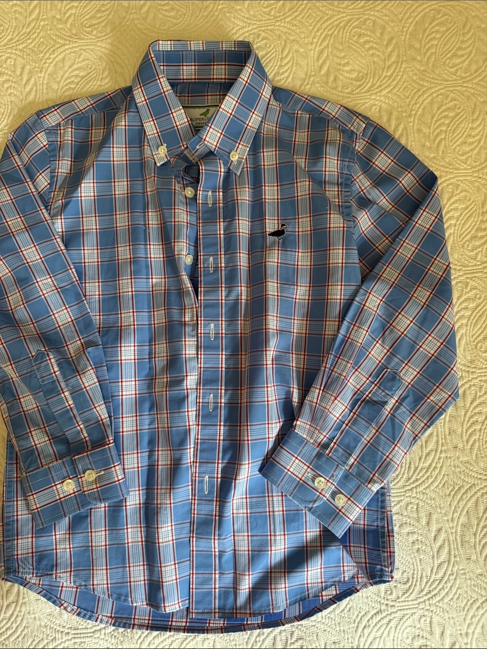 Boys Properly Tied Blue Plaid Button-Down Shirt